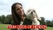 Frum Dogs of Hendon
