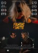 Fulmini e Saette