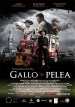 Gallo de pelea