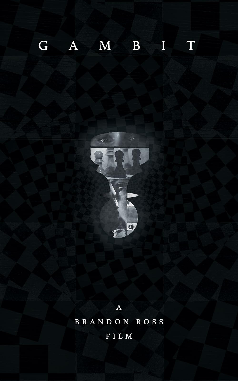 Poster de GAMBIT