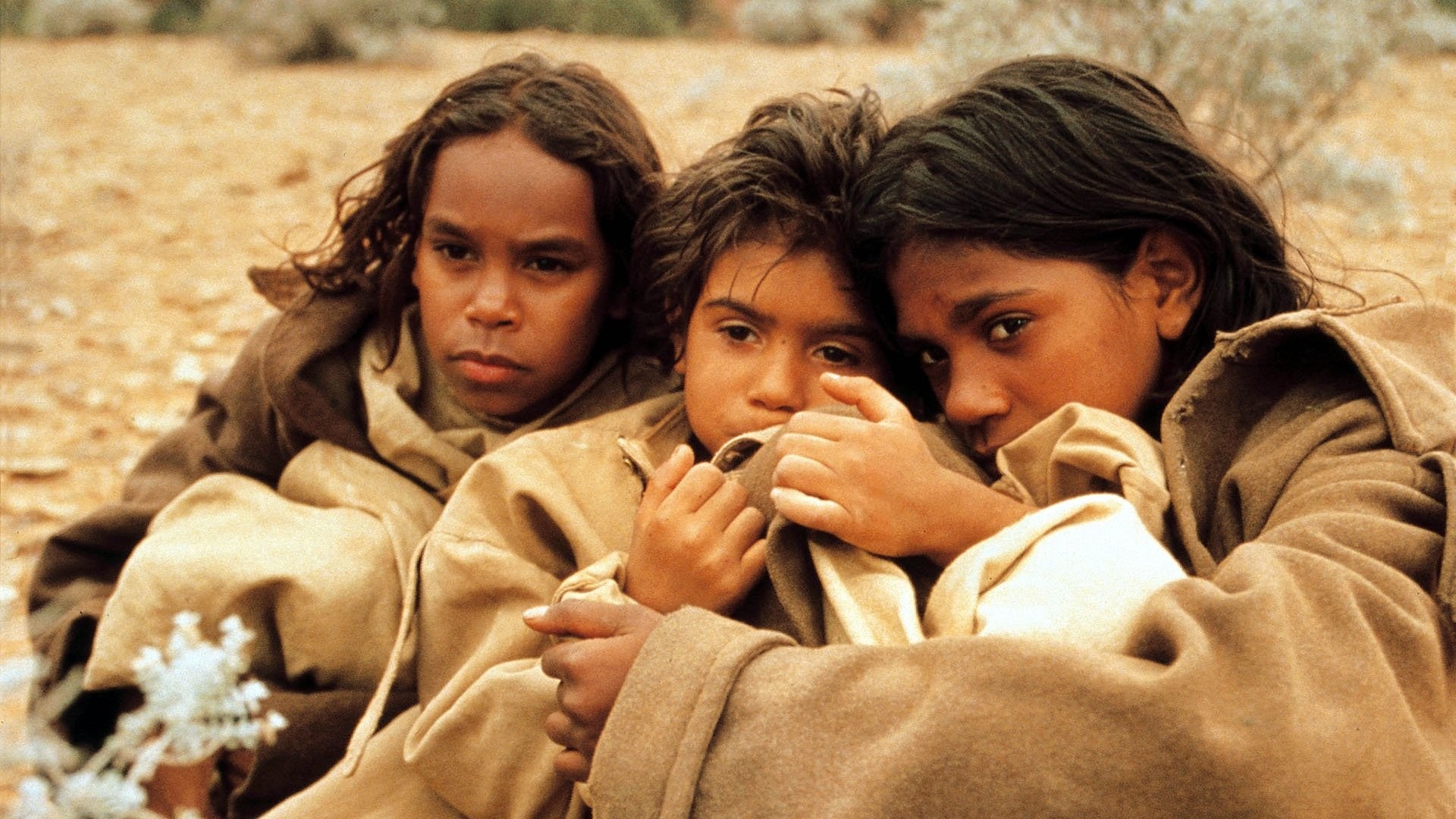 Foto de GENERACIÓN ROBADA