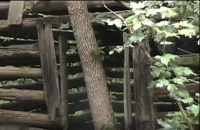 George and the Immortals