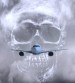 Ghost Flight