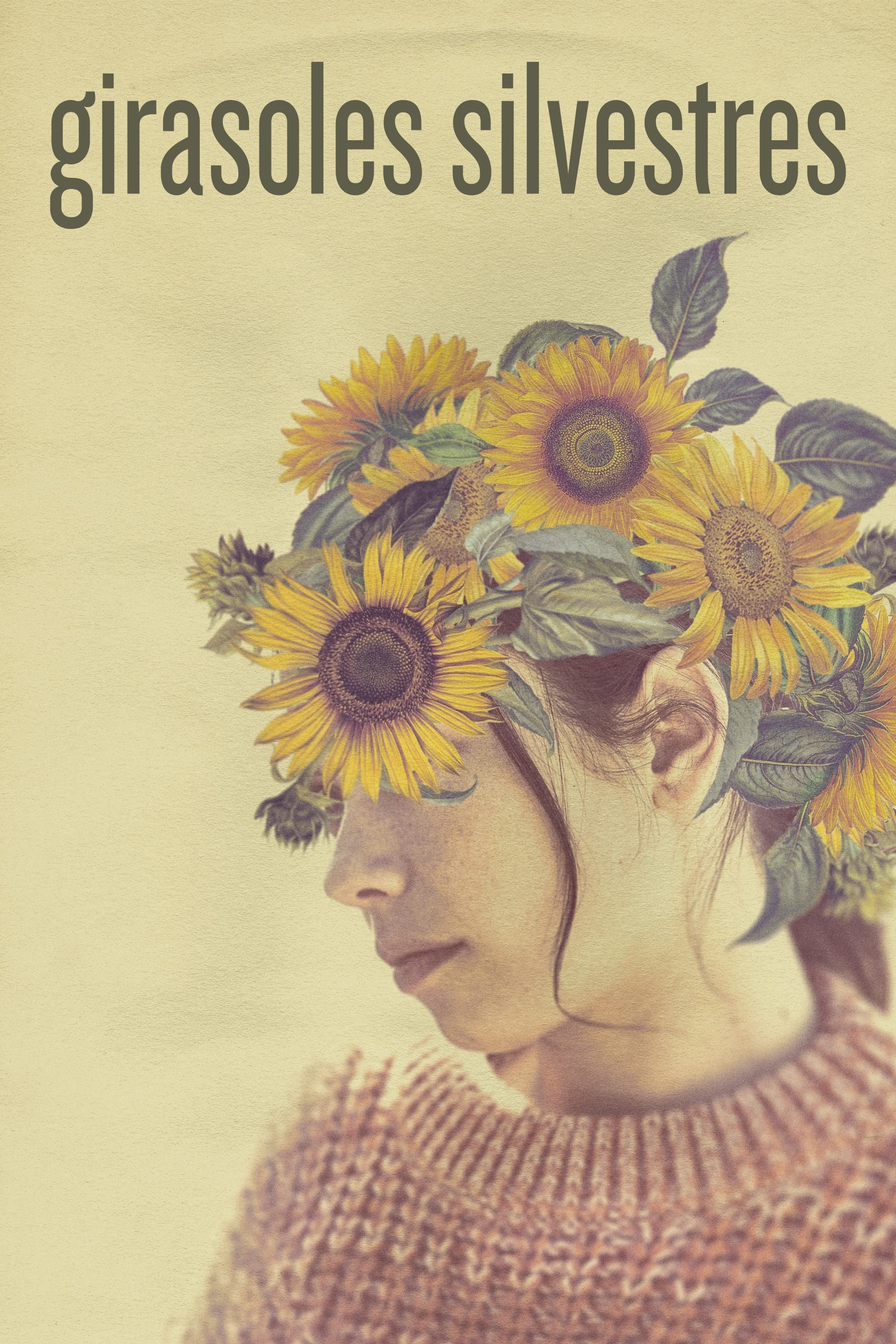 Poster de GIRASOLES SILVESTRES