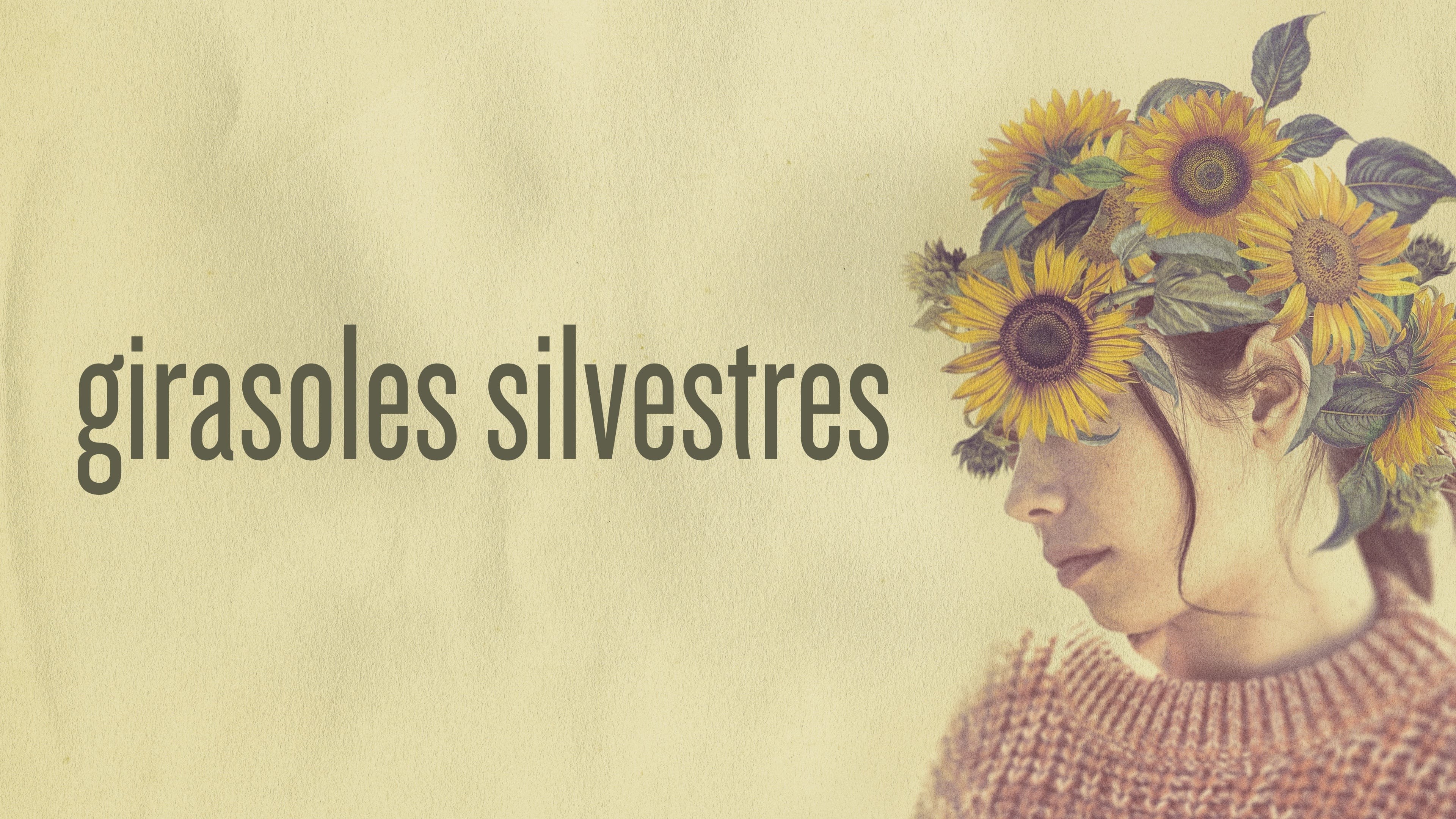 Foto de GIRASOLES SILVESTRES
