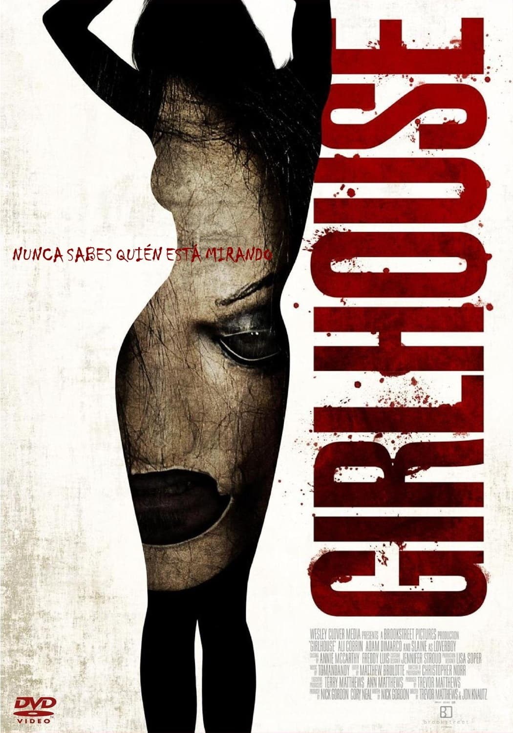Poster de GIRLHOUSE en español