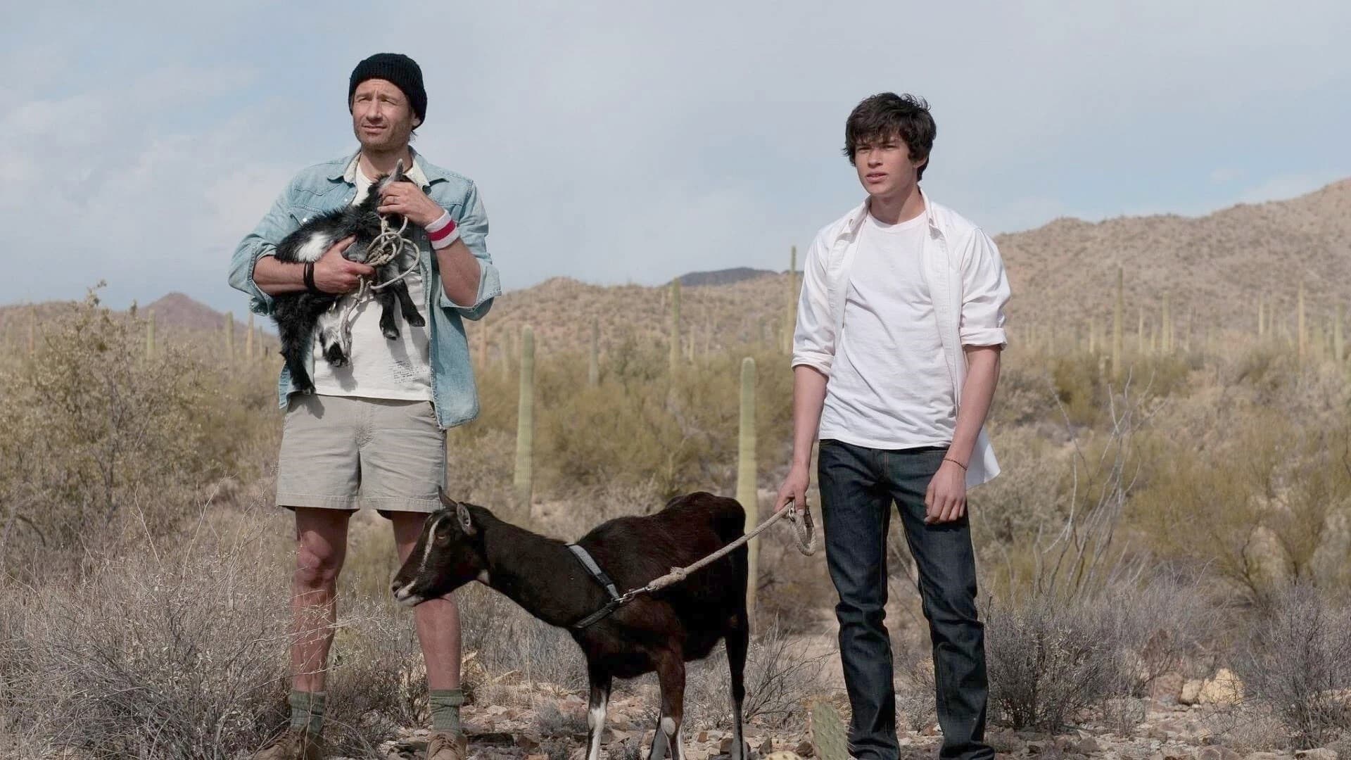 Foto de GOATS: CABRAS