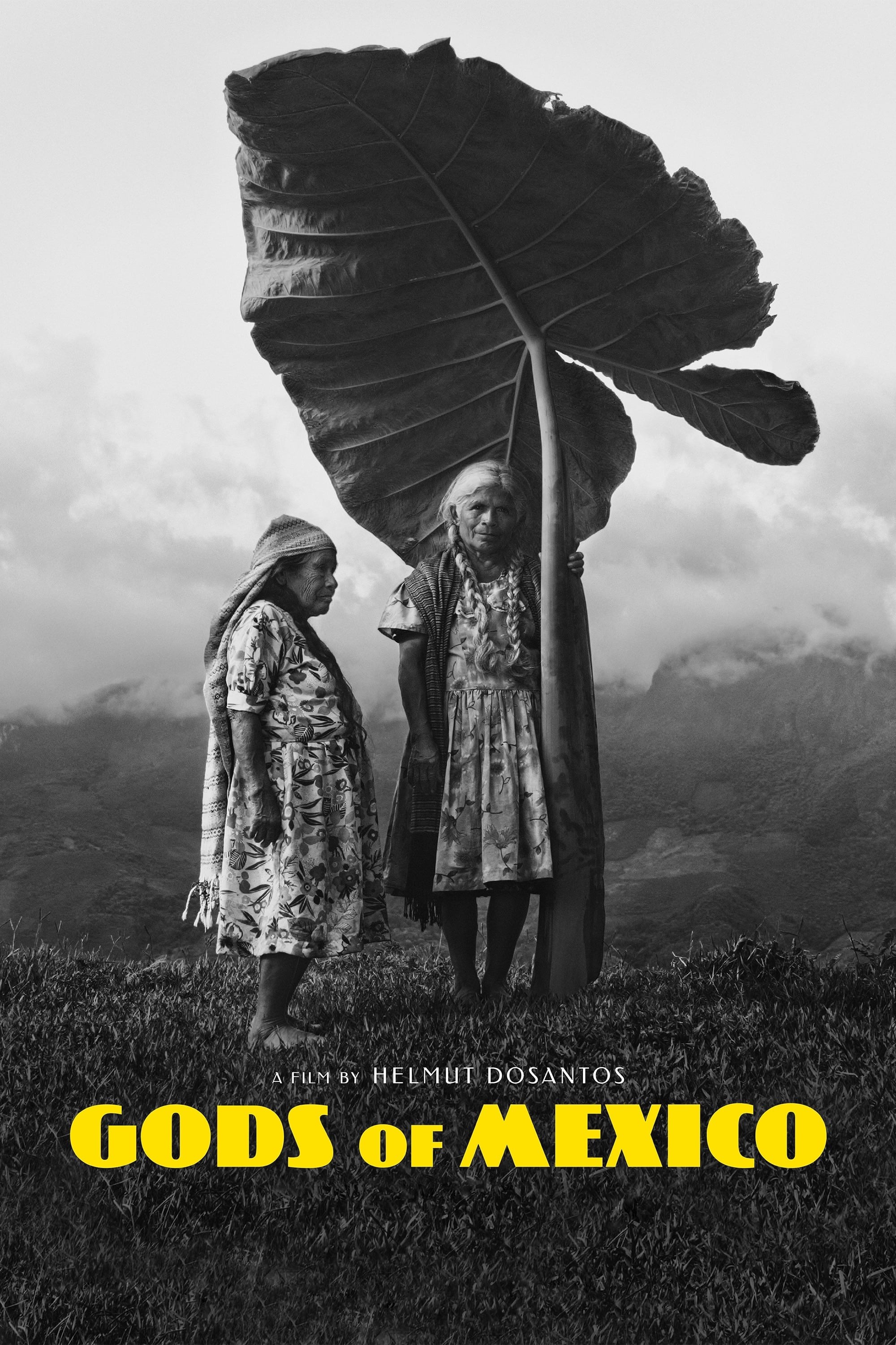 Poster de DIOSES DE MÉXICO