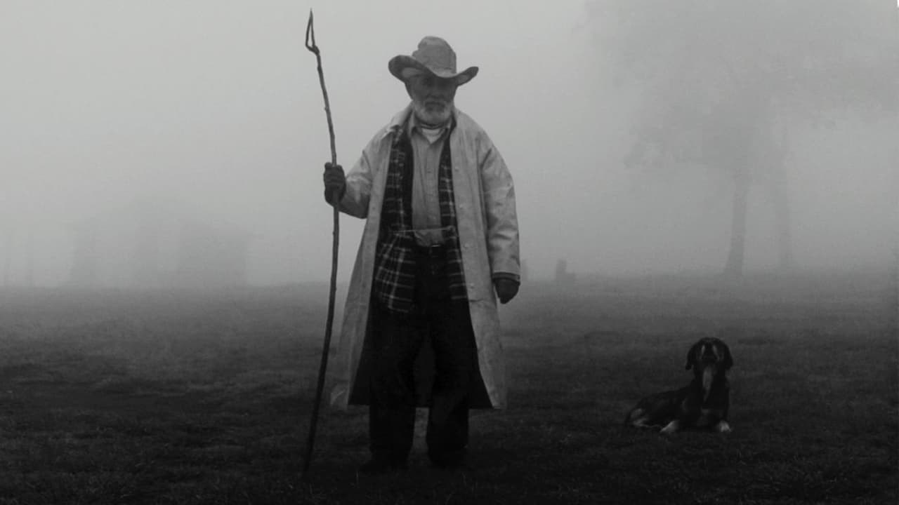 Foto de DIOSES DE MÉXICO