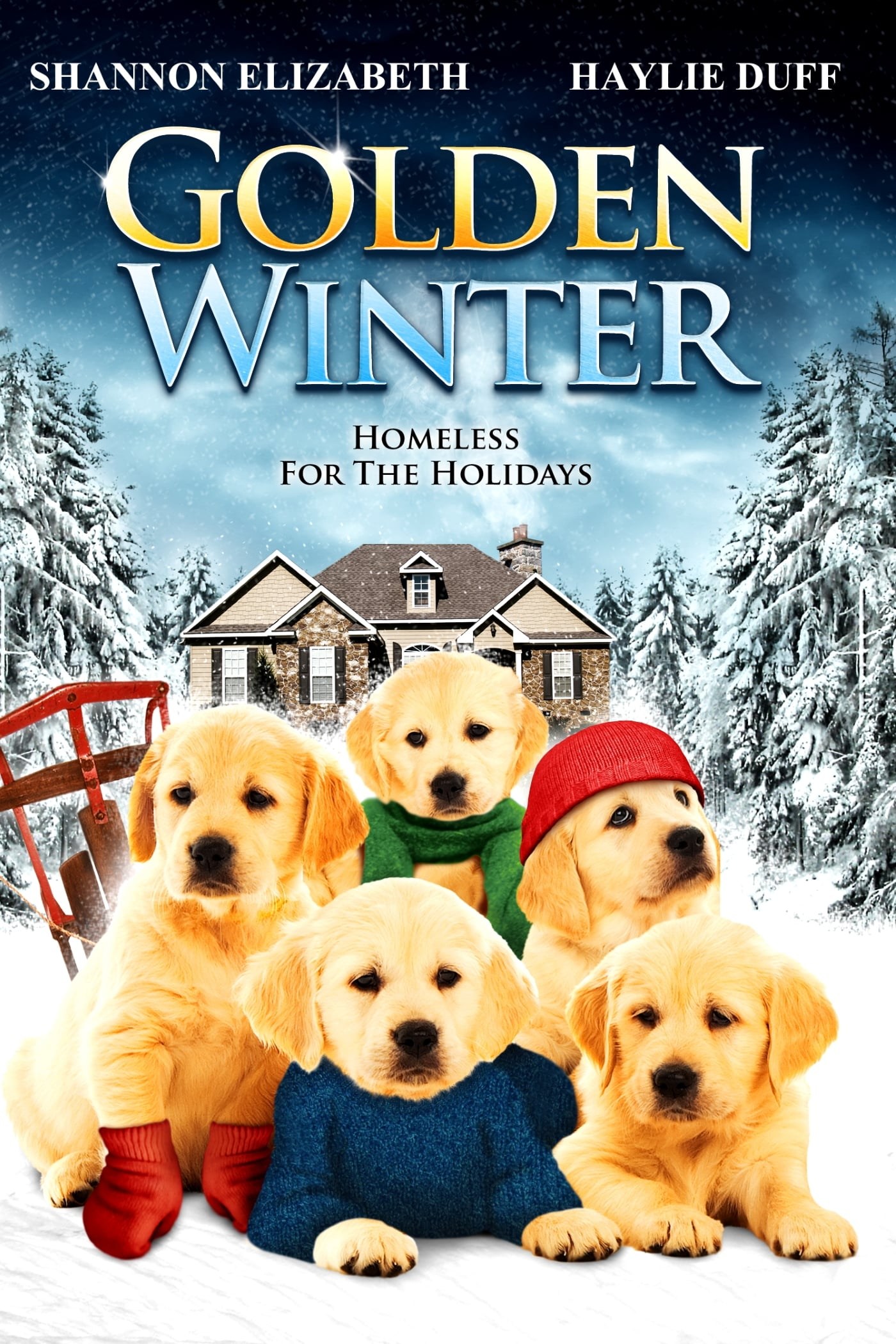 Poster de GOLDEN WINTER en inglés