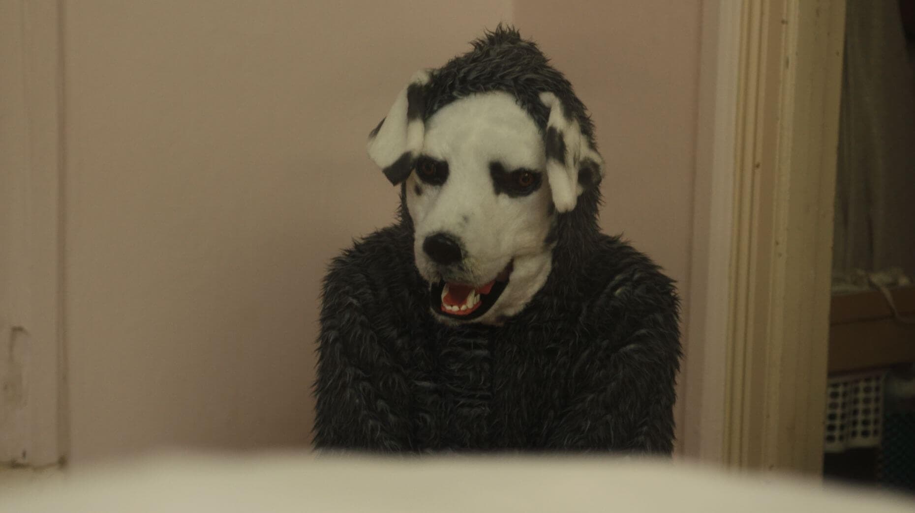 Foto de GOOD BOY