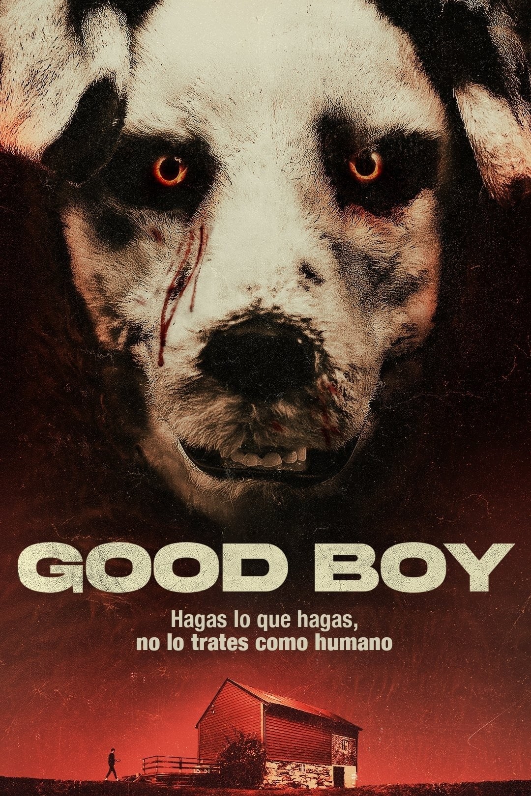 Poster de GOOD BOY en español