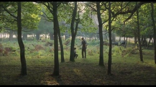 Foto de GOODBYE CHRISTOPHER ROBIN
