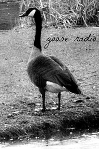 Goose Radio