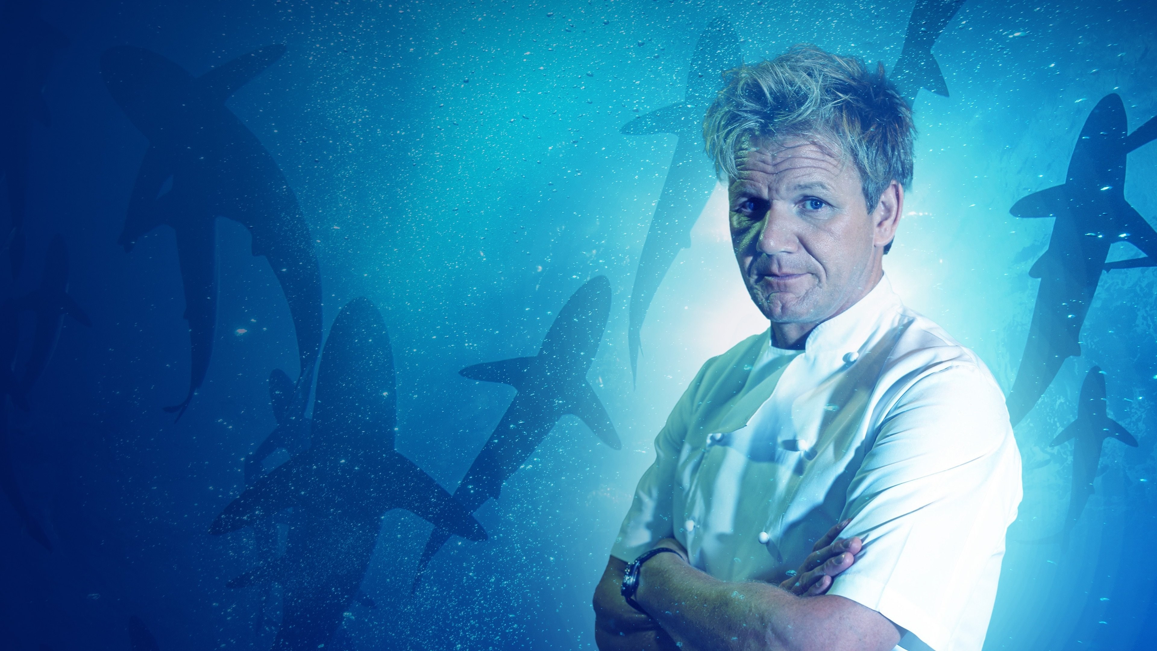 Foto de GORDON RAMSAY: SHARK BAIT