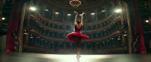 Foto de GORRIÓN ROJO