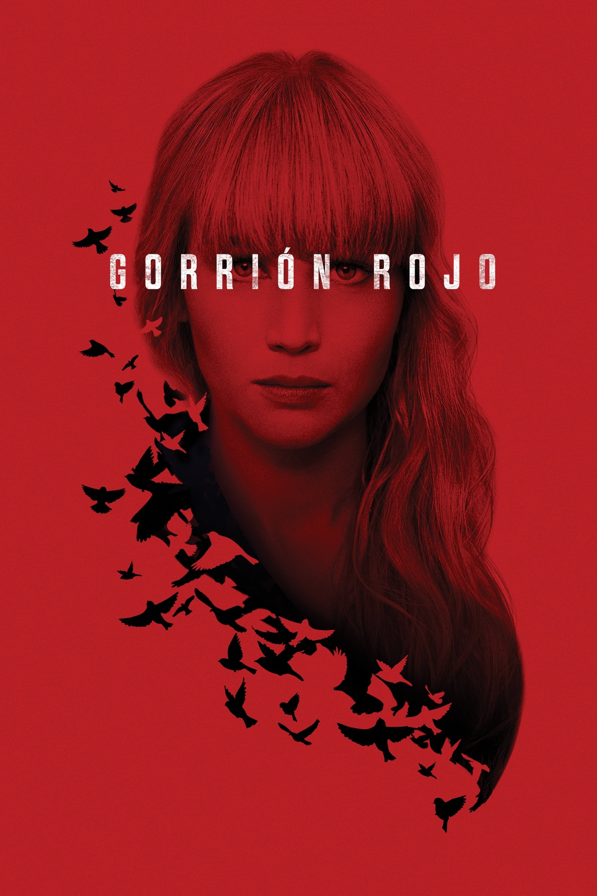 Poster de GORRIÓN ROJO en español