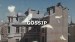 Gossip: Film by Cherie Laurent