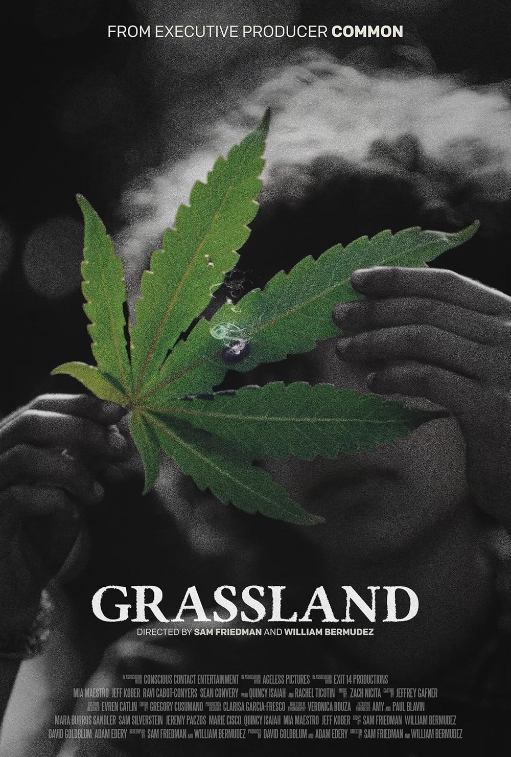 Poster de GRASSLAND