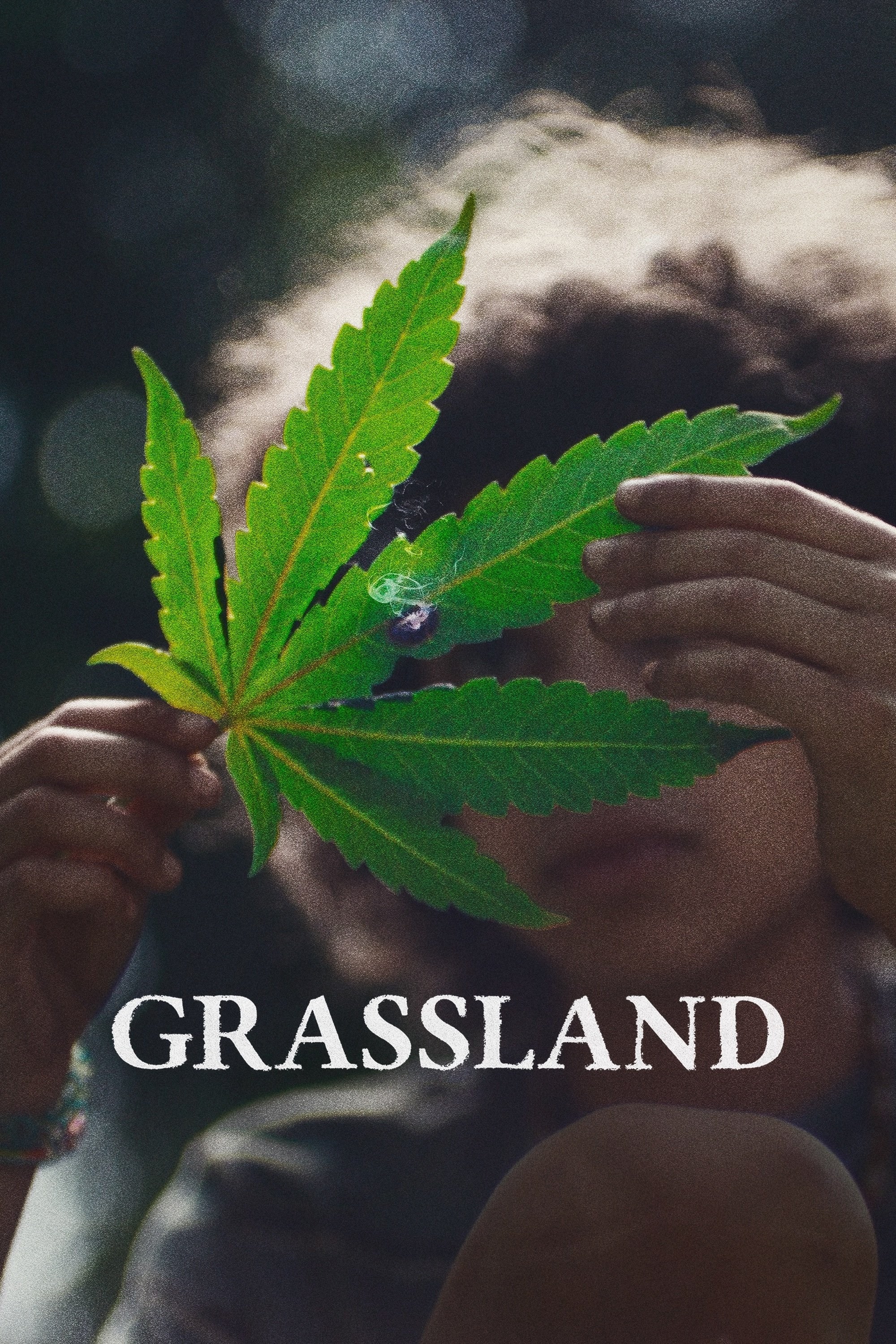 Poster de GRASSLAND en inglés