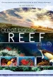 The Great Barrier Reef