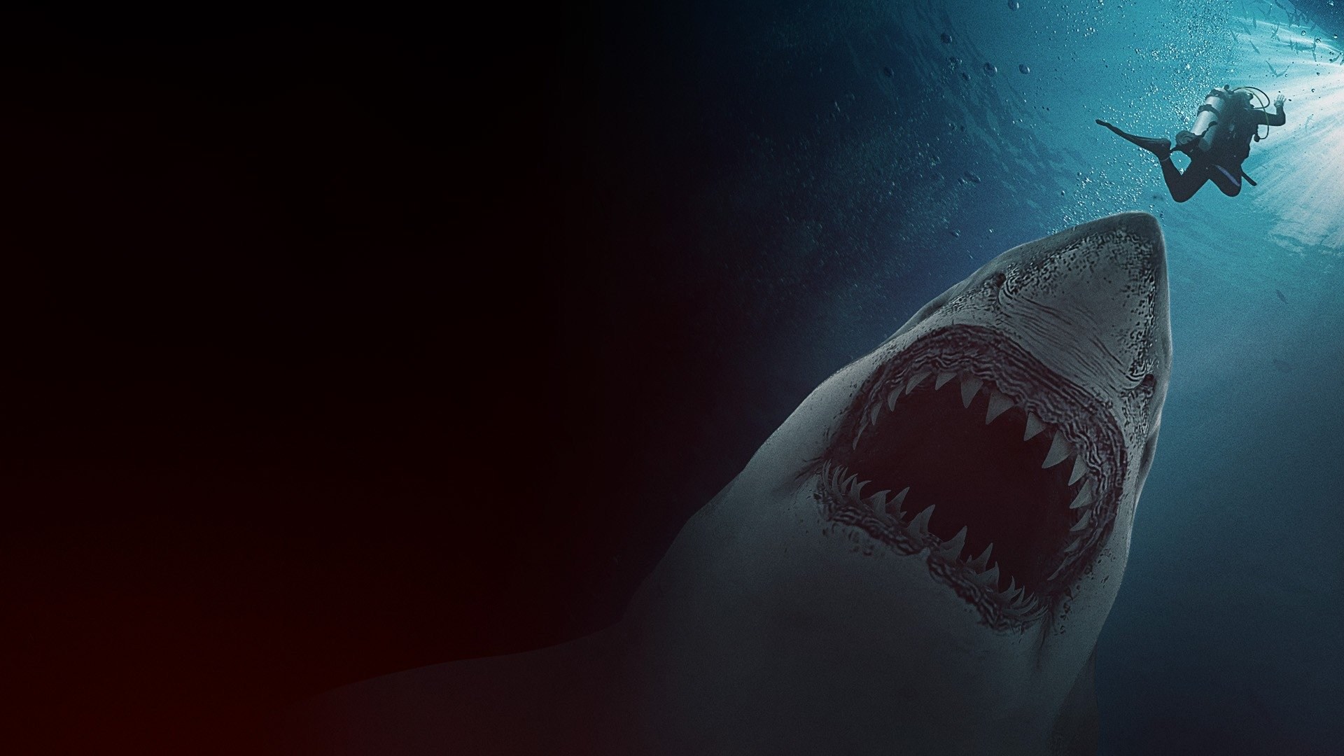 Foto de GREAT WHITE WATERS