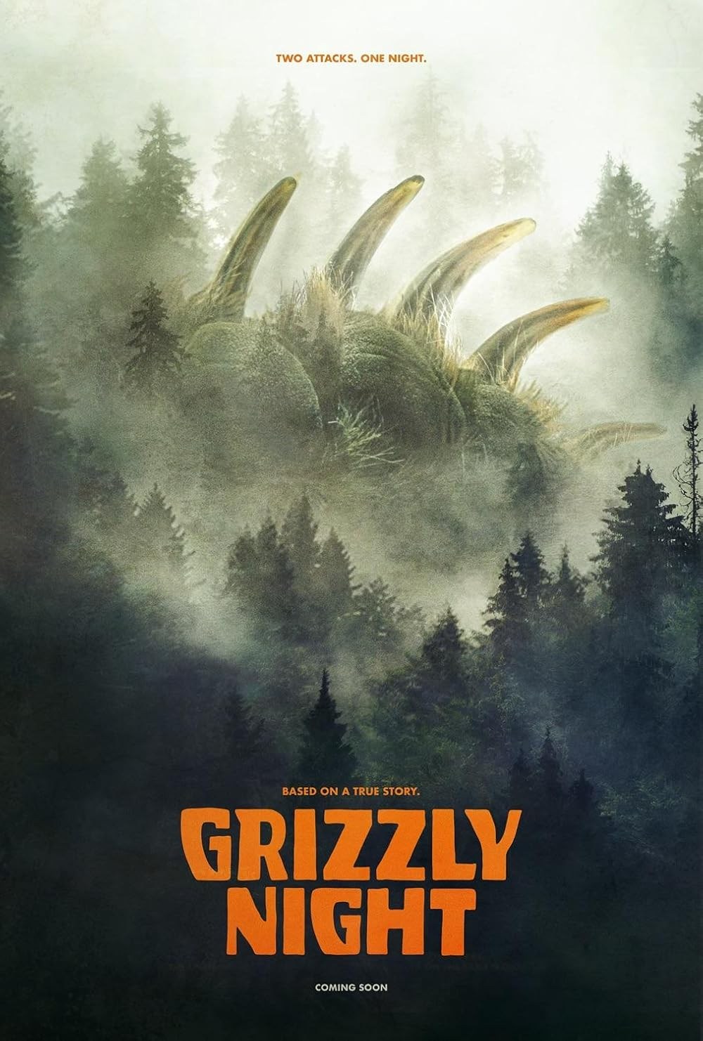 Poster de GRIZZLY NIGHT