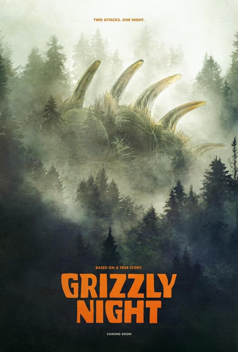 Poster de GRIZZLY NIGHT