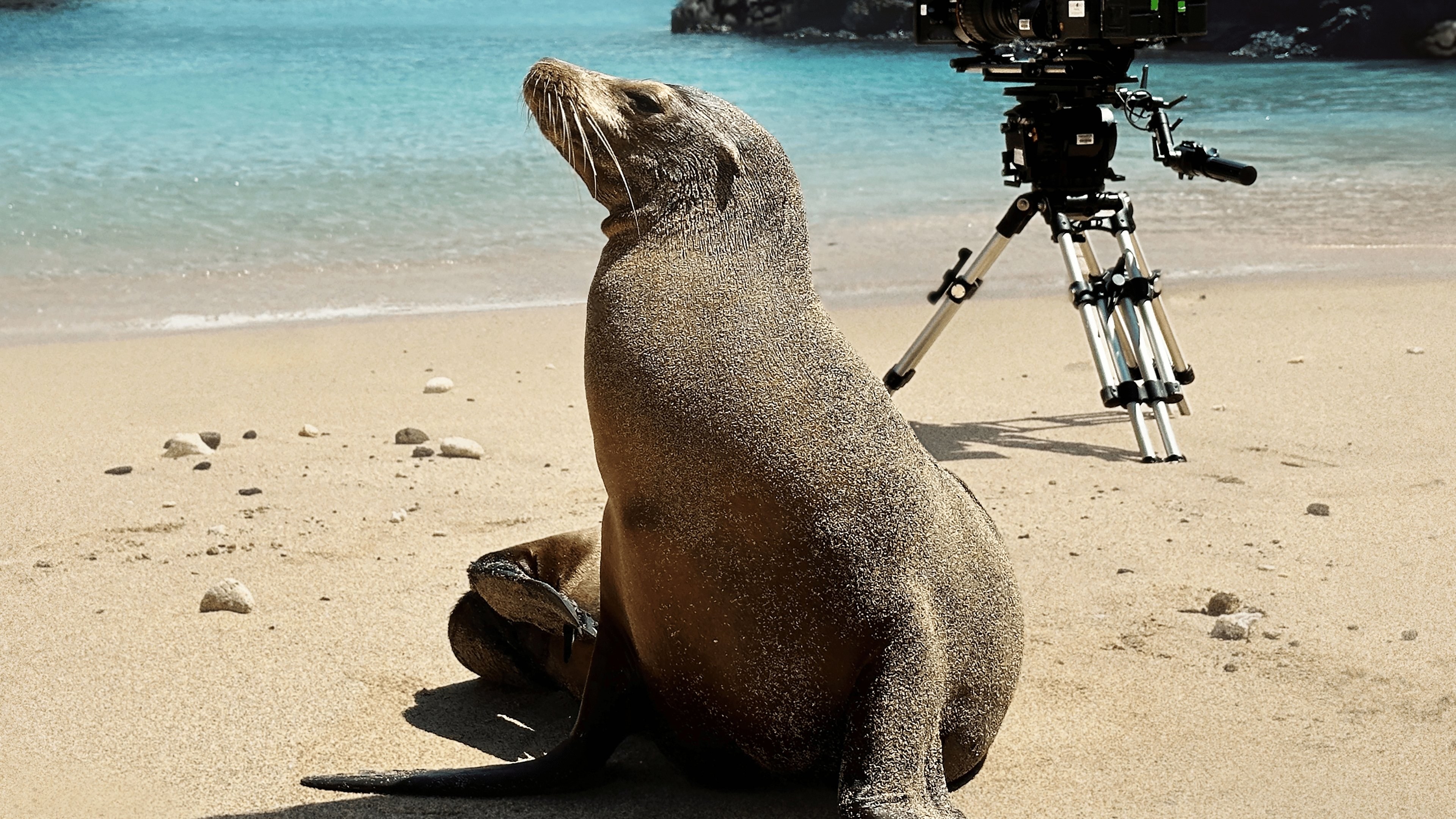 Foto de GUARDIANS OF THE GALAPAGOS
