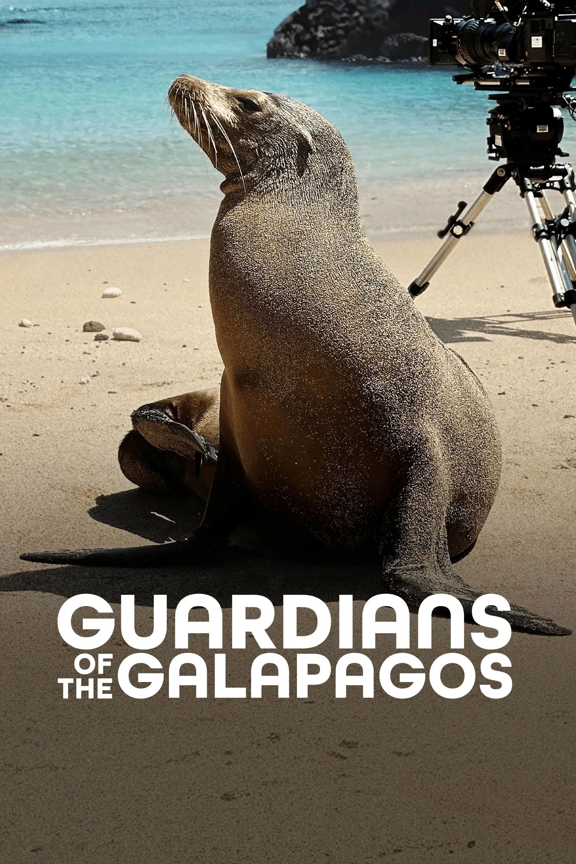Poster de GUARDIANS OF THE GALAPAGOS