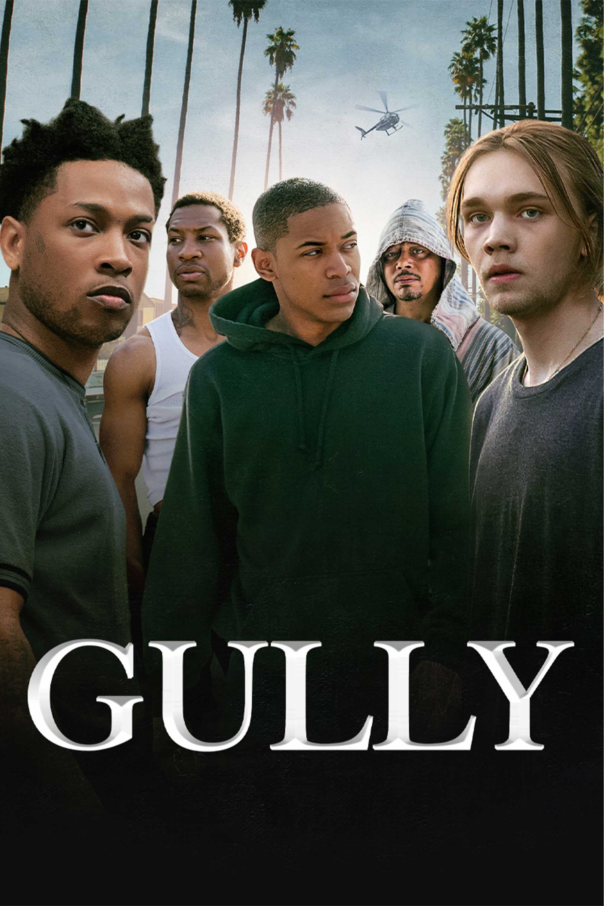 Poster de GULLY en inglés
