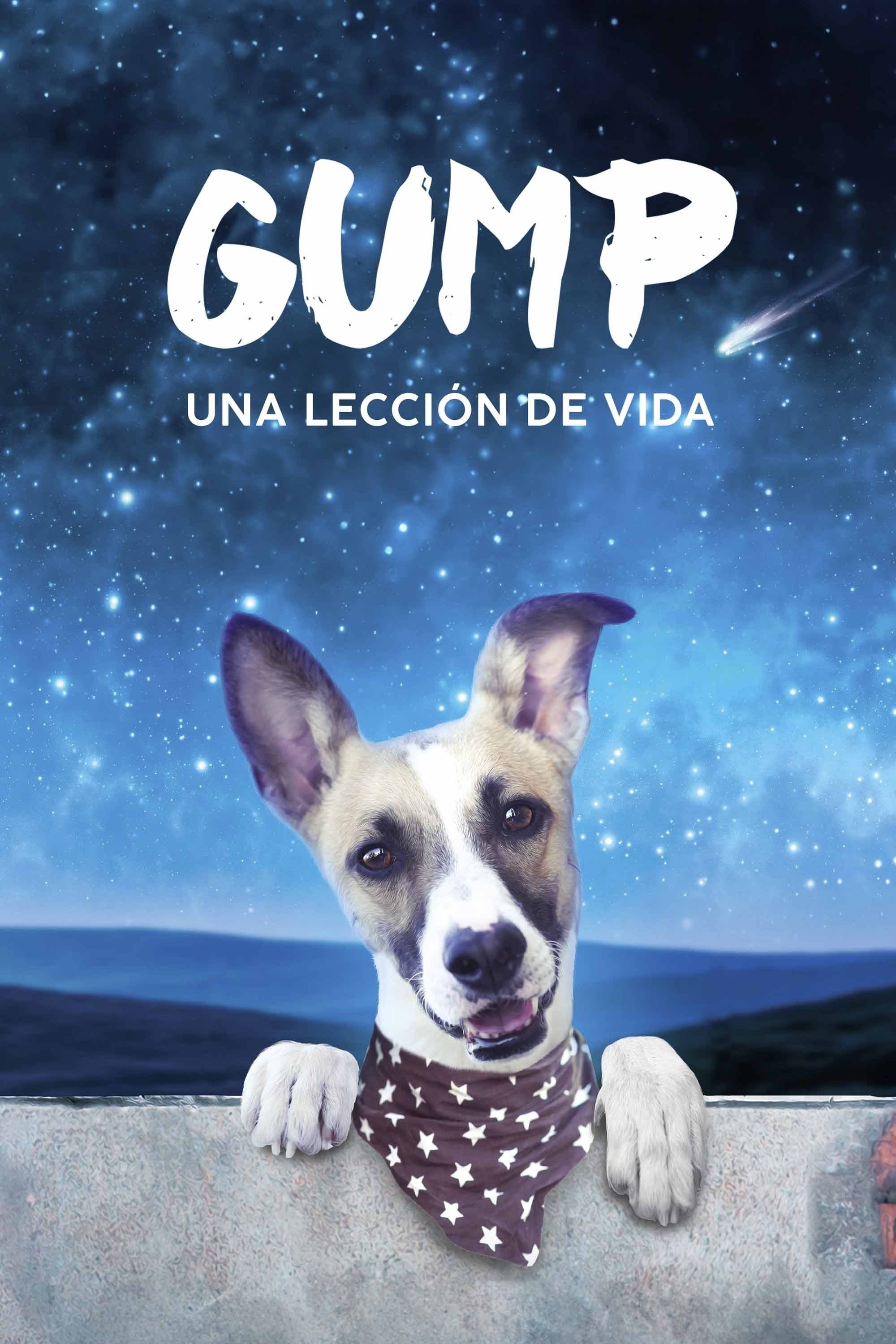 Poster de GUMP - PES, KTERÝ NAUCIL LIDI ZÍT en español