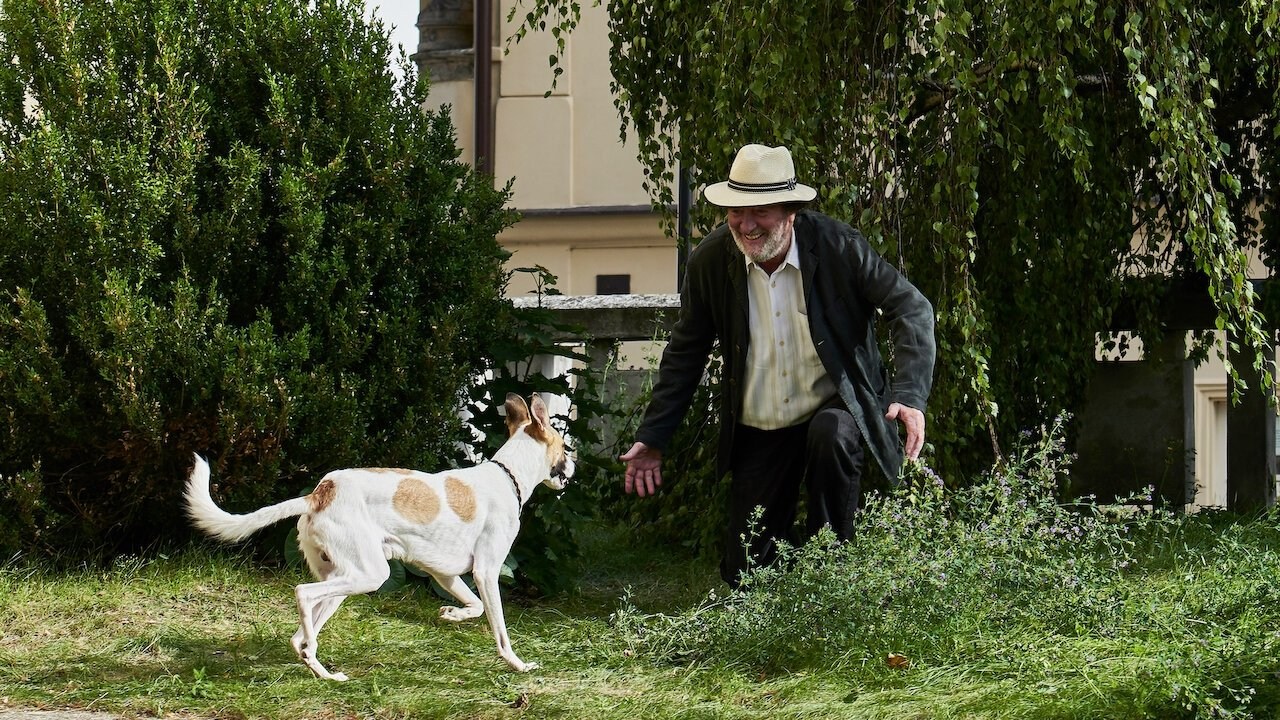 Foto de GUMP - PES, KTERÝ NAUCIL LIDI ZÍT