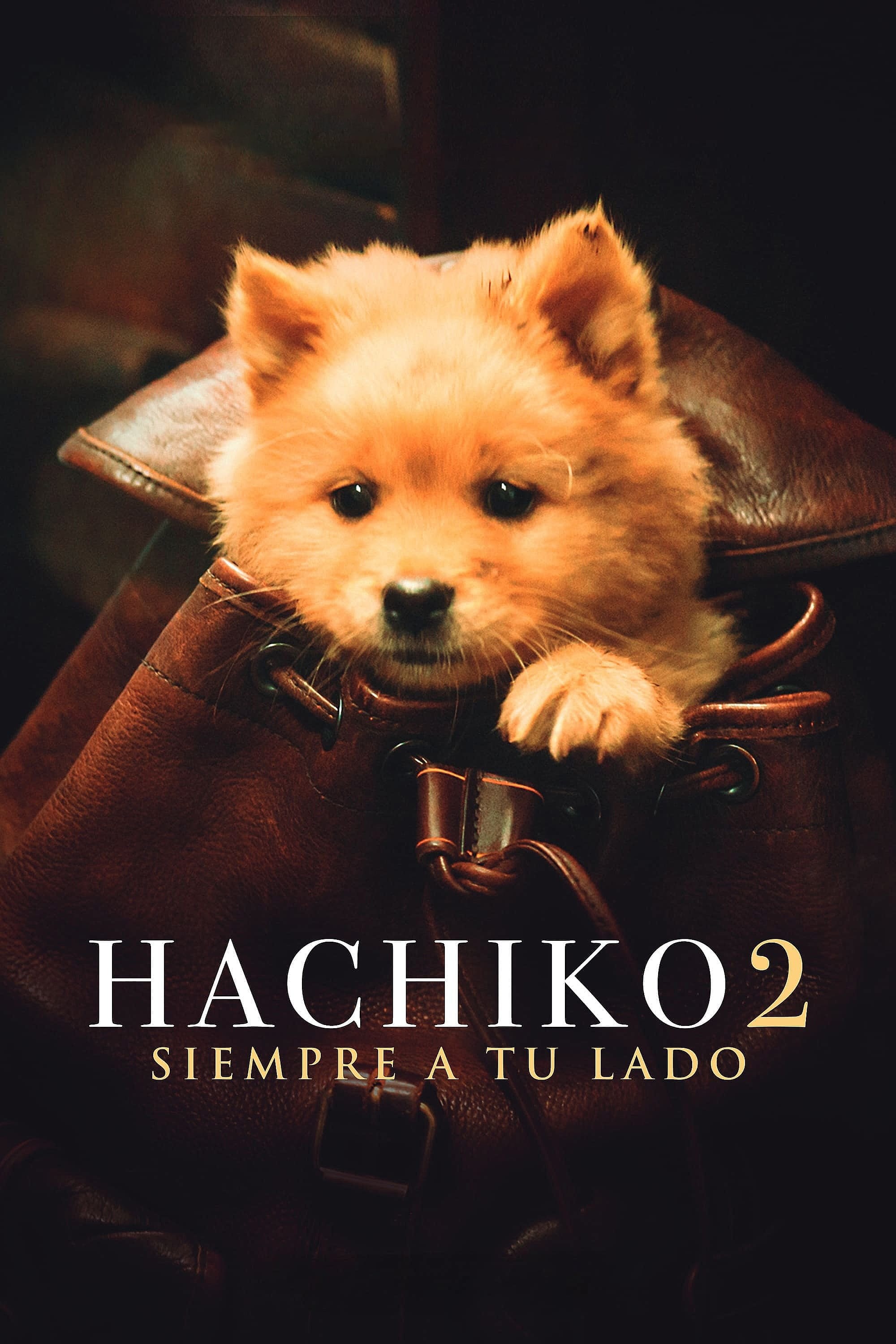 Poster de HACHIKO en español