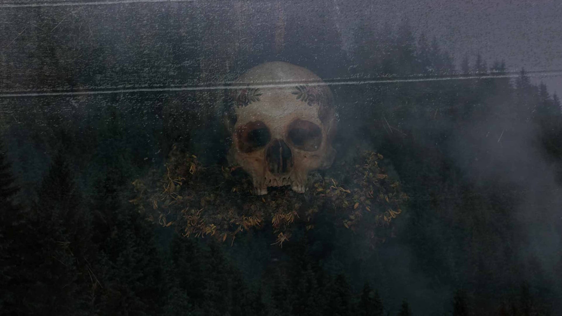 Foto de HAGAZUSSA