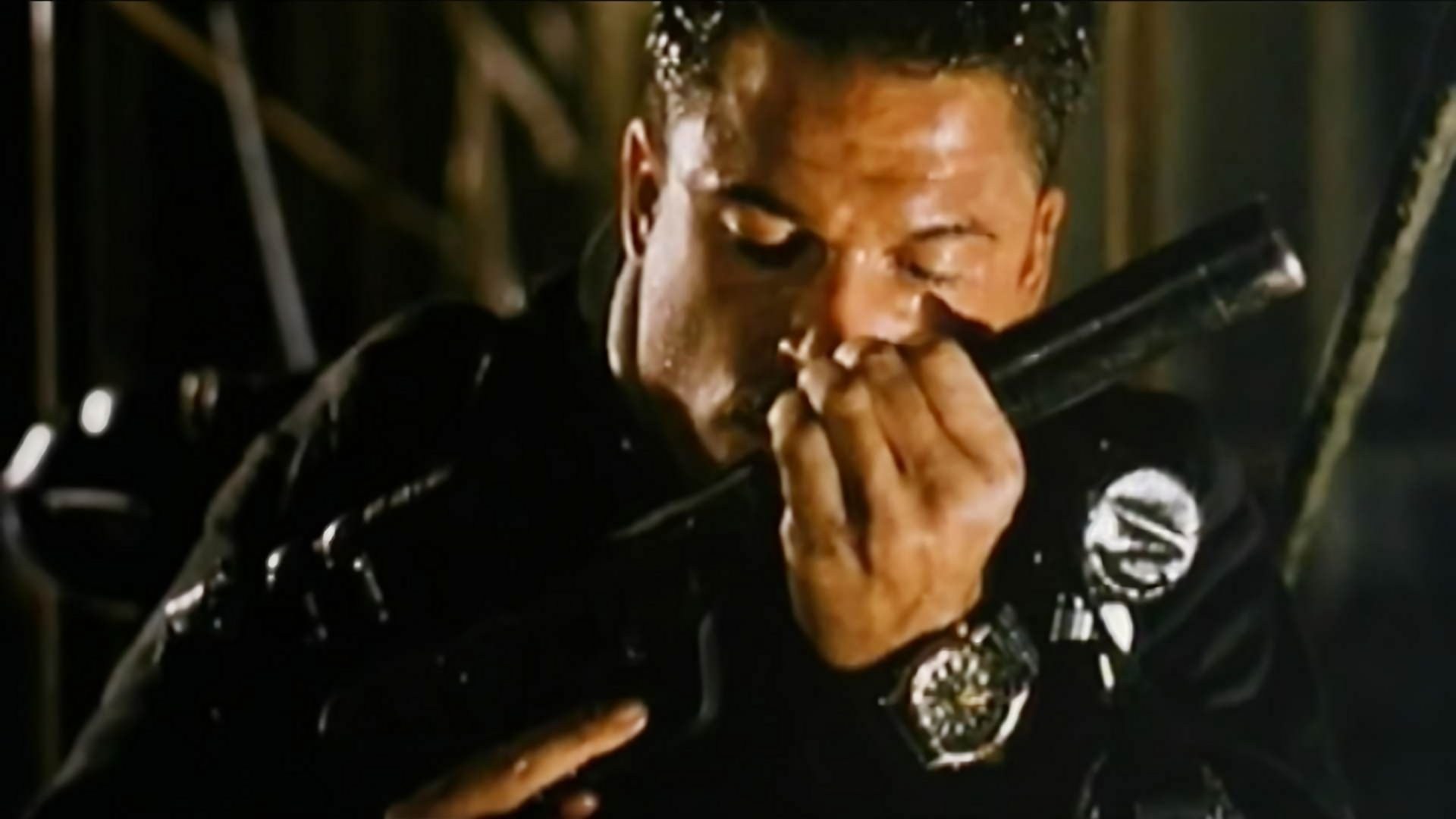 Foto de HALCONES DE MAR