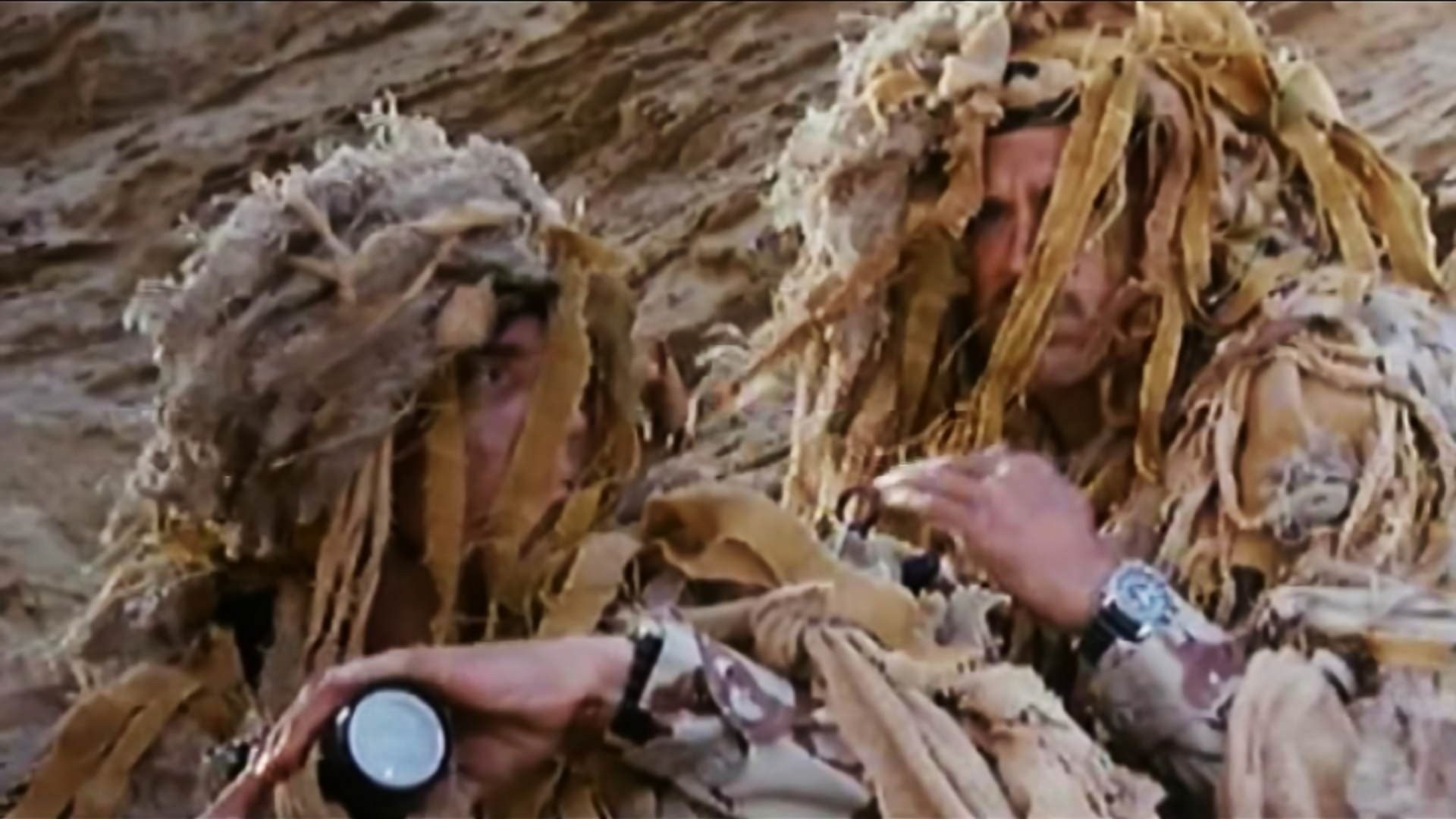 Foto de HALCONES DE MAR