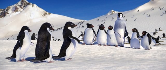 Foto de HAPPY FEET: ROMPIENDO EL HIELO