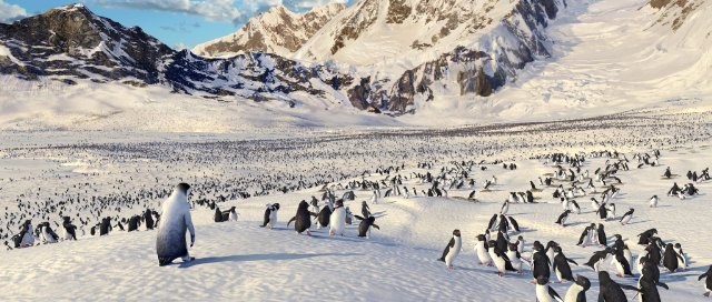 Foto de HAPPY FEET: ROMPIENDO EL HIELO