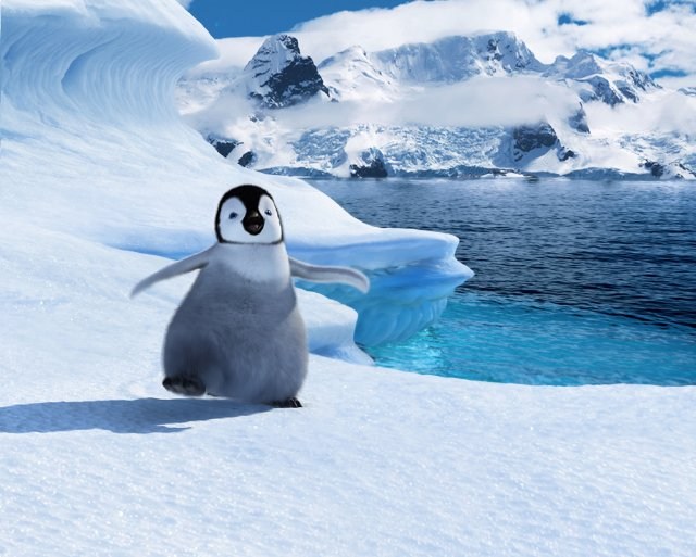 Foto de HAPPY FEET: ROMPIENDO EL HIELO