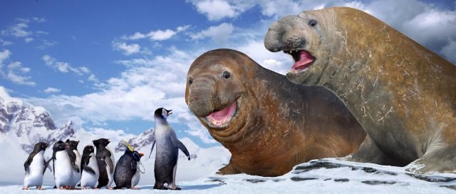 Foto de HAPPY FEET: ROMPIENDO EL HIELO
