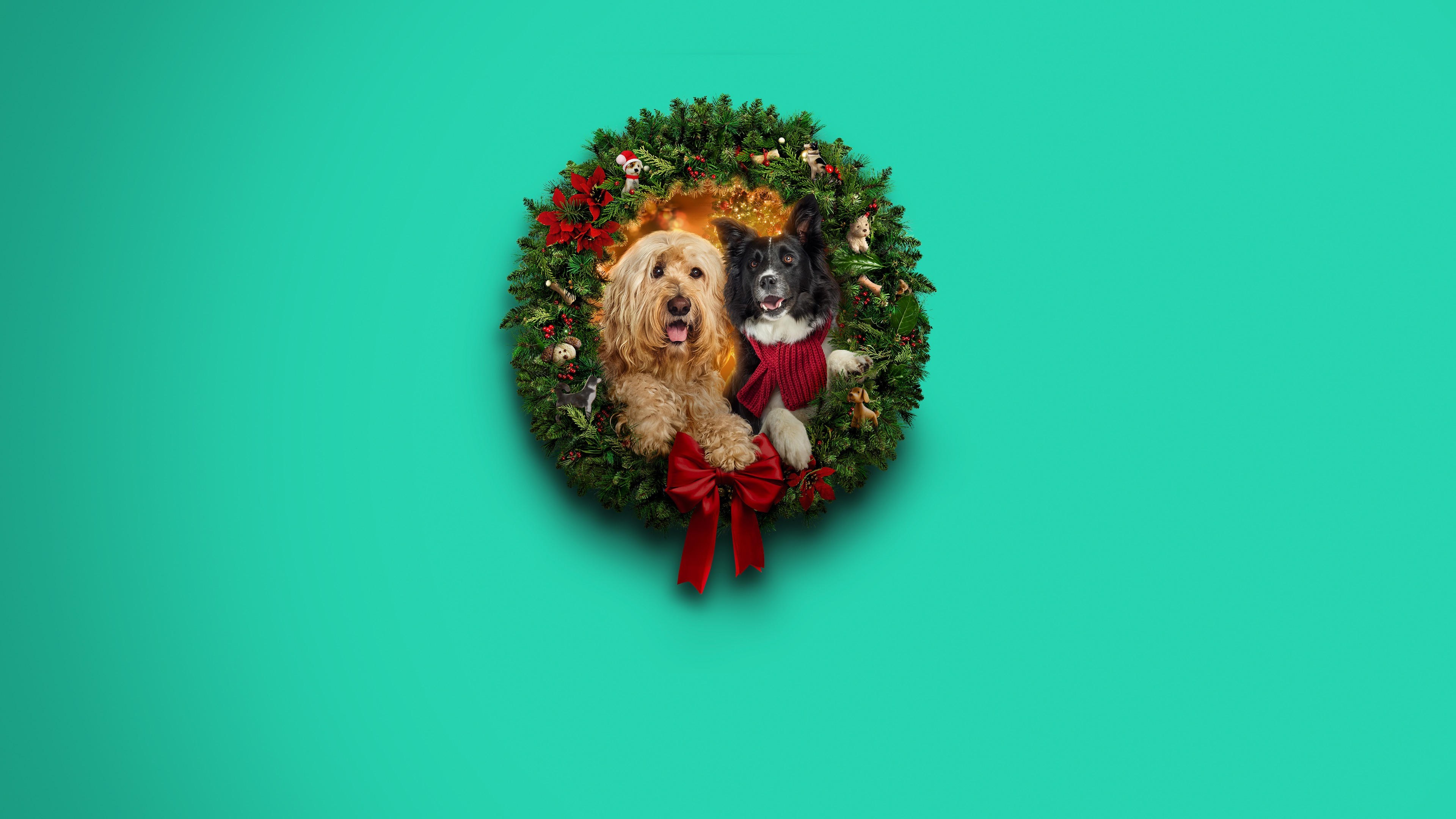 Foto de HAPPY HOWLIDAYS