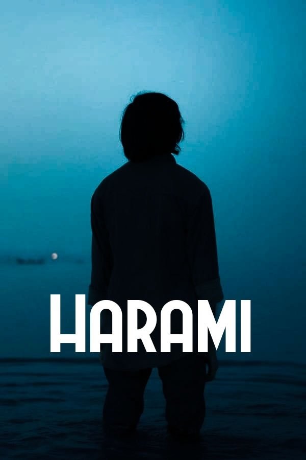 Poster de HARAMI