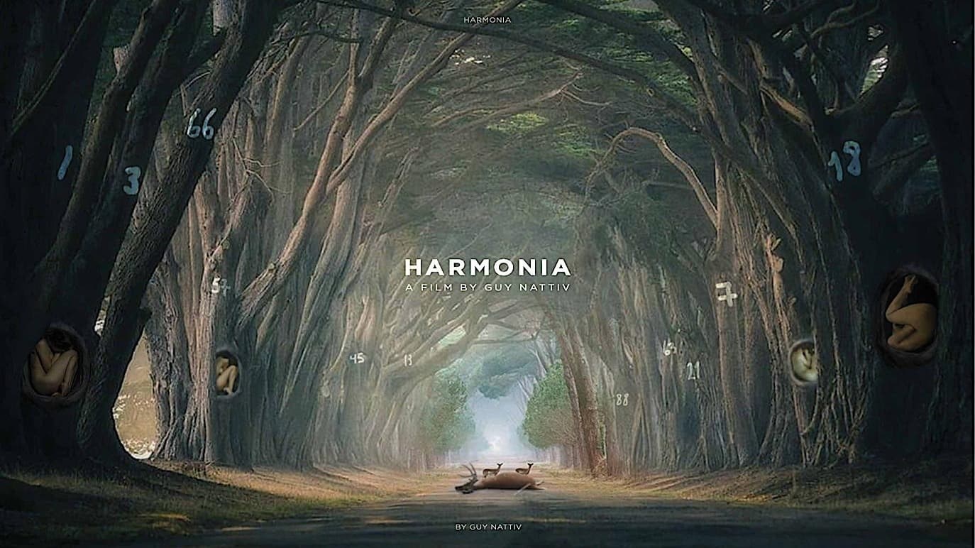 Foto de HARMONIA