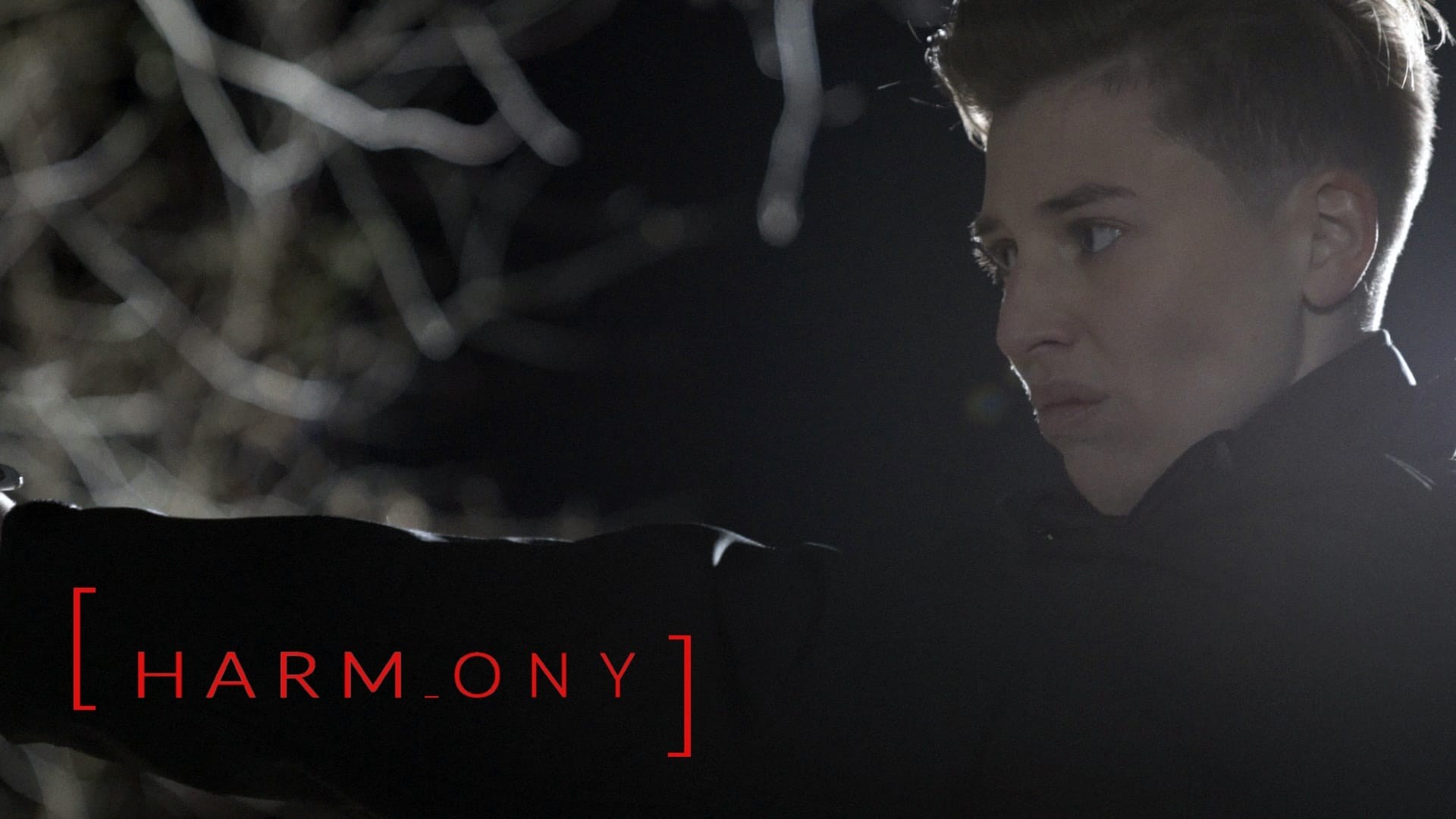 Foto de HARMONY