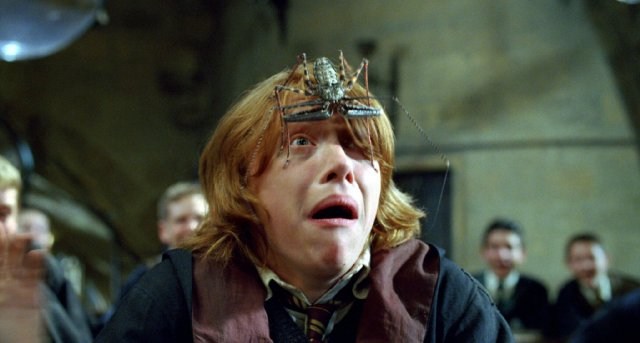 Foto de HARRY POTTER Y EL CÁLIZ DE FUEGO
