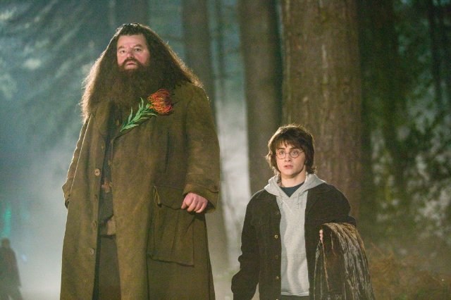 Foto de HARRY POTTER Y EL CÁLIZ DE FUEGO