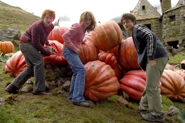 Foto de HARRY POTTER Y EL PRISIONERO DE AZKABAN