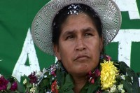 Hartos Evos, aquí hay. Los cocaleros del Chapare