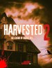 Harvested 2 -The Legend of Harold rice
